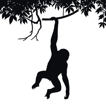 recommend clip art: a monkey a monkey hanging on the tree stick vector silhouette