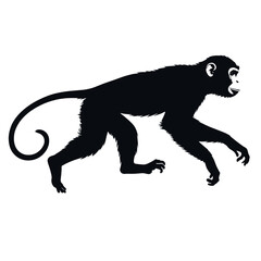 a monkey running vector silhouette, fill with black color, isolated white background