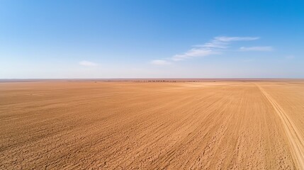 Fototapeta premium A vast, open landscape with golden fields under a clear blue sky, showcasing the beauty of agricultural land.