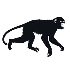 a monkey running vector silhouette, fill with black color, isolated white background