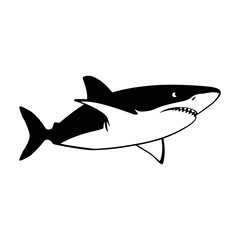 a shark vector silhouette, black color silhouette