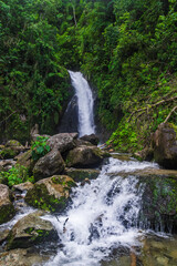 Catarata Gallito de las Rocas - Satipo, Junín, Perú