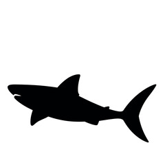 a shark vector silhouette, black color silhouette