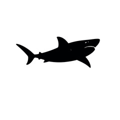 a shark vector silhouette, black color silhouette