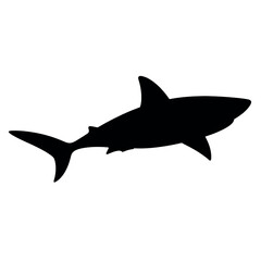 a shark vector silhouette, black color silhouette
