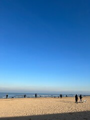 montrose dog beach in chicago 