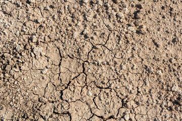 Dry, cracked, and dusty ground