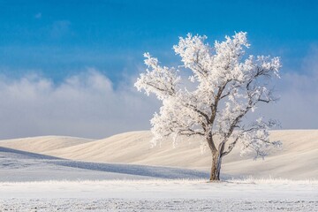 A solitary frost-covered tree stands majestically against a clear blue winter sky in a peaceful snowy landscape
