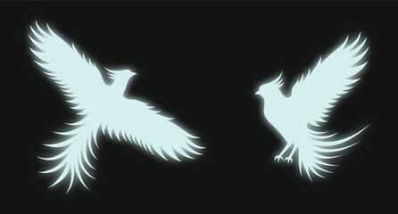 A neon silhouette of light white phoenix with wings, isolated on the black background. A set of vector illustrations