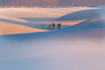 White Sands National Park USA