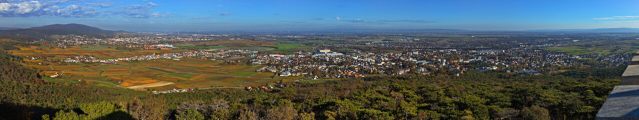 Panoramic view from the observation tower 