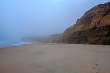 A lone figure walks along a misty, expansive beach, leaving a solitary trail of footprints in the sand near towering