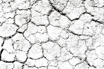 Texture soil dry crack background pattern of drought lack of water of nature white black old broken.