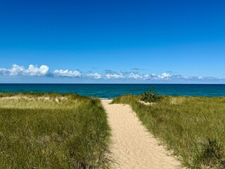 Michigan Beach Landscape
