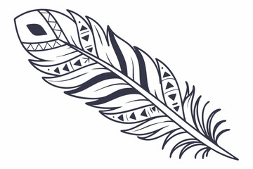 illustration of feather