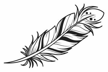 illustration of feather
