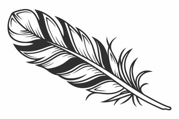 illustration of feather