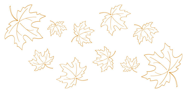Continuous one line drawing of maple leaf. Maple leaves line art in autumn. Minimalist black linear sketch isolated on white background. Hand drawn vector illustration.