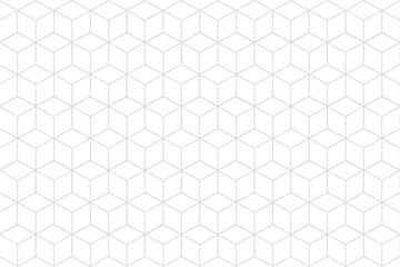 White hexagonal lines seamless pattern decoration