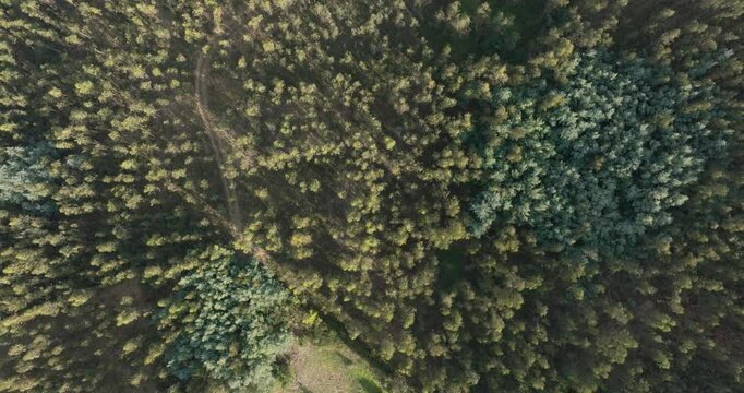 Aerial Drone Footage of Portuguese Forest  in Sao pedro de Alva, Portugal - High-Quality 4k Long Forest