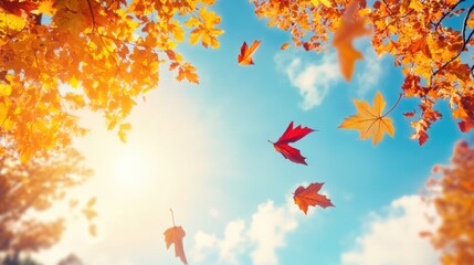 Looking up at autumn treetops glowing in sunlight, blue sky peeking through colorful leaves, 