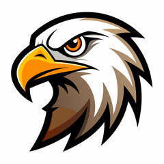 american bald eagle