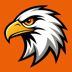 american bald eagle