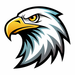 american bald eagle
