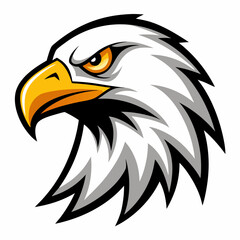 american bald eagle