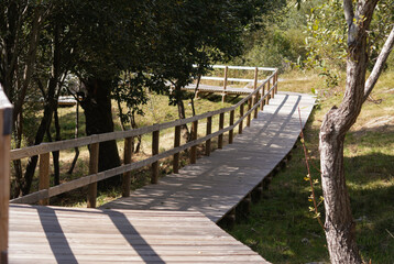 Passadi&ccedil;o de madeira no Geres, rodeado de floresta e verde
