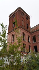 Abandoned, neglected and overgrown building