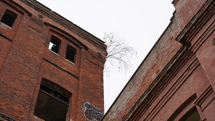 Fototapeta premium Abandoned, neglected and overgrown building