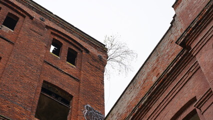 Abandoned, neglected and overgrown building