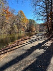 Fall leaves along the river with tree shadows