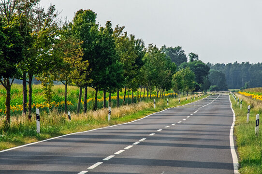 Landstra&szlig;e in der Sommerhitze