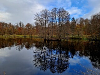 lake in autumn