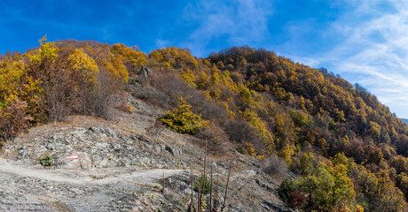 Mountain landscape in autumn. Beautiful colors of the leaves, trees and bushes. A path that leads between the forest оn mountain Kitka near the city of Skopje, Macedonia.