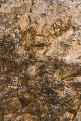 Detailed texture of a rugged rock surface