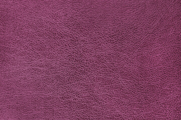 Fototapeta premium Structure of genuine leather surface with slightly grainy texture macro, close up. Smooth shiny pink leatherette, upholstery material, luxury background, backdrop, wallpaper