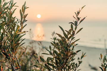 Sunset over Lake Michigan as seen from Indiana Dunes National Park