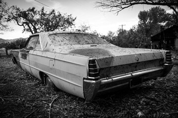 The rear view of an abandoned 1960s era classic car.