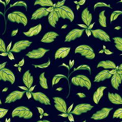 Fototapeta premium Seamless pattern of basil leaves. This botanical artwork features aromatic herbs. for culinary illustrations, cookbooks, menus, cafes, promoting a healthy lifestyle and environmental sustainability.