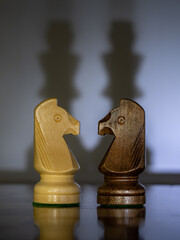 Chess pieces symbolize geopolitical and social relations. Their positions and shadows allow viewers...