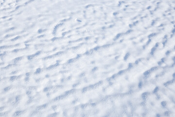 Obraz premium texture of cold winter snow