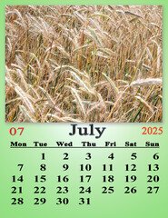 July calendar 2025 with photo of with ears of wheat in a field