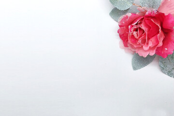 rose, flower, love, gift, valentine, roses, red, 