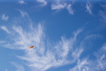 kite flying in the sky