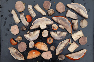 Edible mushrooms cut into pieces for quick drying.