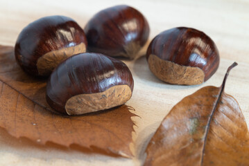 Close-up of few  fresh raw chestnuts with brown leaves on a wooden table, sweet seed of autumn