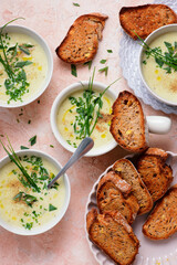 French Cream of Cauliflower Soup with Croutons.style hugge.selective focus